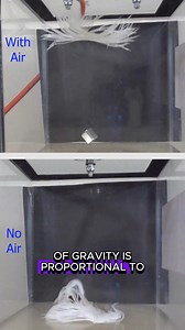 263K views · 1.4K reactions | How a feather falls in a vacuum chamber 邏 #popularscience #reels #science #funscience #vacuumchamber | The Action Lab | Facebook