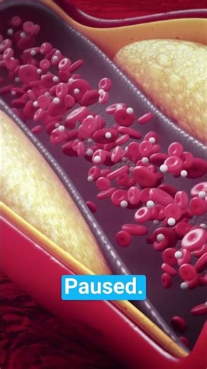 Your Liver Has Priorities