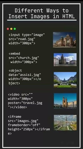 html form input fields