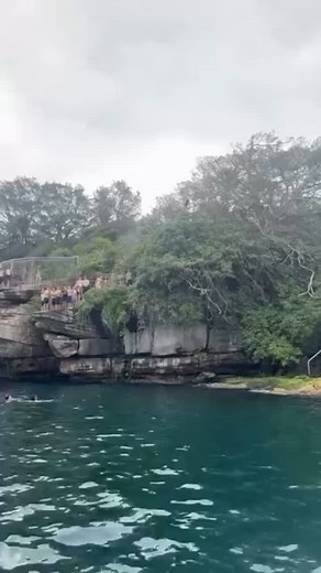 AHAHAHAH WHEN WILL THEY LEARN 😂🤣 #manly #mantown #dooley #manlybeach #manlywharf #jumprock #manlyjumprock #sendit | Creatures of Manly
