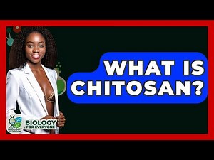 What Is Chitosan? - Biology For Everyone