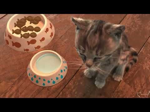 Cute Cat Little Adventure 🐱 Kitty & Friends Playground Story Like a Cartoon for Kids