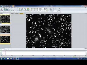 Basic Concepts of Q-Capture Pro 7 Software