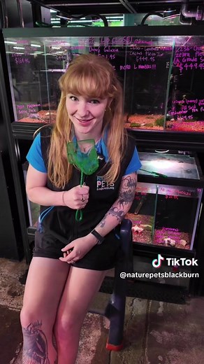 Understanding Pleco Fish and Their Unique Names