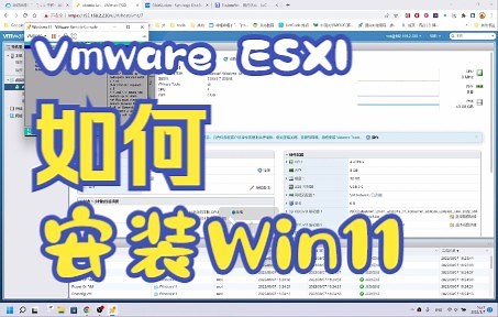 Vmware Esxi虚拟机安装Win11 无需TPM2.0支持 PE强制装Win11 Vmware Workstation通用教程