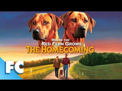 He Returned from War Broken... But Two Puppies Saved Him! | Full Drama Movie