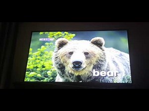 Baby Dolittle World Animals 2001 DVD Menu