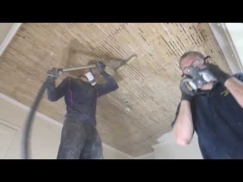 Remove and replace a lath and plaster ceiling