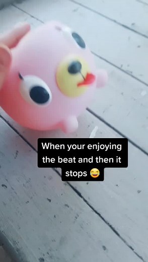 Pink Dog Toy Meme | Squeeky Bunny Interrupts Beat