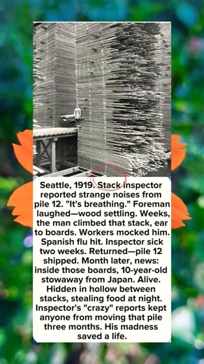 Seattle, 1919. Stack inspector reported strange noises from pile 12. #facts #dailyfacts #news