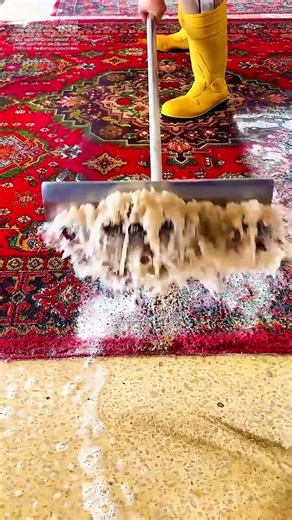 Schmutz entfernen: Wie man Teppiche reinigt : Die Kunst der Reinigung und ihre Werte