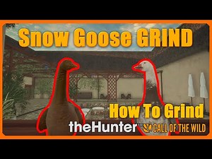 How to Hunt Snow Geese 🎯 | Full Beginner's Goose Hunting Guide - 1JMGames