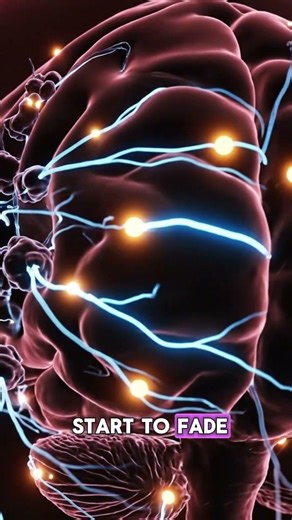 Brain Signals Explained in 30 Seconds 🧠⚡ | How Your Brain Works! #strengthandgrowth #anatomy #fact