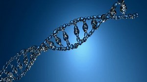 3d Animation Dna Strands On Blue Stock Footage Video (100% Royalty-free) 4800671 | Shutterstock
