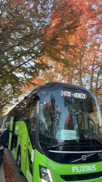 Why Bus Terminals Have The Weirdest Architecture