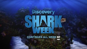 9.9K views · 254 reactions | Shark Week on Reels | Facebook