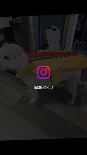 Halloween in full effect in our household, fav holiday of the year. Share a pic of your costumes in the comments, I love seeing eveyeone in the spirit. 🦩👽🌭🎃📣 | Cristina Garcia