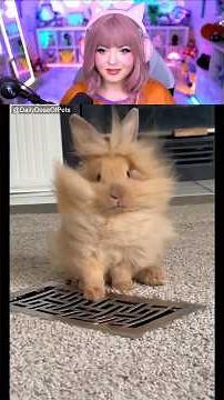 Daily Dose of Pets = Daily Dose of Happiness 🐾💞