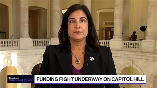 Democrats Have Leverage: Rep. Malliotakis on Funding Fight