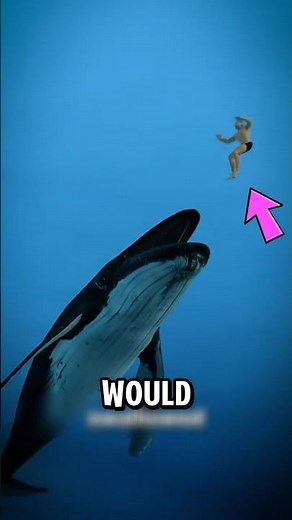 What Happens If You’re Swallowed by a Whale?