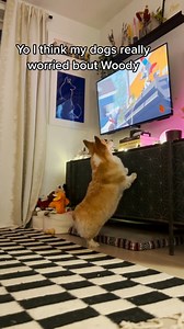 This is gonna be a rollercoaster for u Maxine #toystory #funnydog #movies | Maxine the Fluffy Corgi