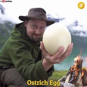 Biggest Muffin Made With Ostrich Egg and Bacon | Amazing Chef