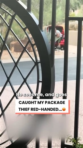 These porch pirates need to be stopped