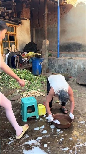 Hilarious Rural Life: Must-Watch Videos for Laughter