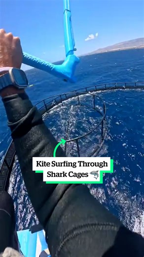 Jumping in a shark tank🦈😨 | VT