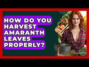 How Do You Harvest Amaranth Leaves Properly? - The World of Agriculture