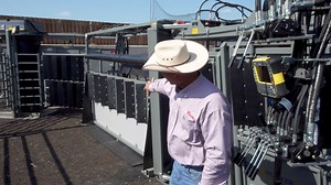 2.2K views · 669 reactions | Single & Dual Alleyways with Louvers keep the Flow Moooving Forward! *Portable Alleyway Options Available!* Livestock Equipment Built to Order for Your Operation | Moly Manufacturing Livestock Equipment | Facebook