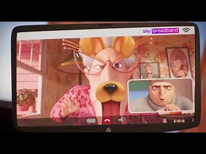 Sky Minion-proof Wifi 2021 Commercial HD
