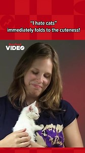 10K views · 44 reactions | Their Reactions Are Priceless! | BuzzFeed Animals | Facebook