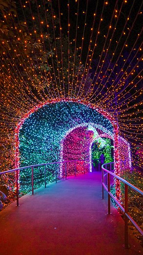 This is one of my favorite holiday activities to do in Atlanta 👇 Garden Lights, Holiday Nights are back at @atlbotanical on November 15th and I’m so excited! Through January 12th, garden goers can experience the million lights that are spread throughout 30 acres of gardens. This is a great activity to do with kids or for a date night! Tag someone who needs to go see these holiday lights ASAP! Pro tip: grab a hot coco or apple cider to enjoy while you stroll around the garden. | Eating Through A
