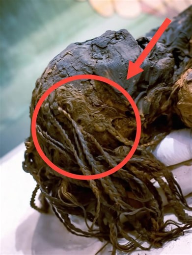 44K views · 79 reactions |  A mummified woman has been uncovered —...