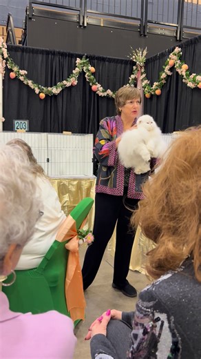 Mitchell Ross on Reels