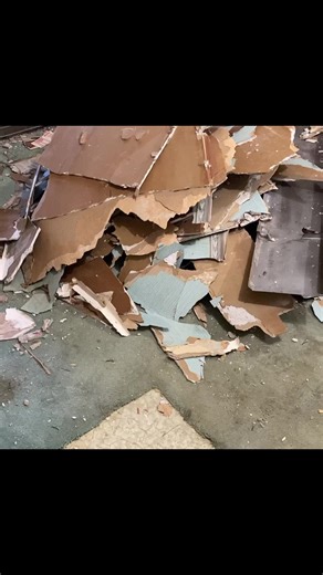 4K views · 60 reactions | How I Avoid Dumpster Late Fees. #diy #construction #remodel #remodeling #demo #demolition #youtube #youtuber #thefixer | The Fixer | Facebook