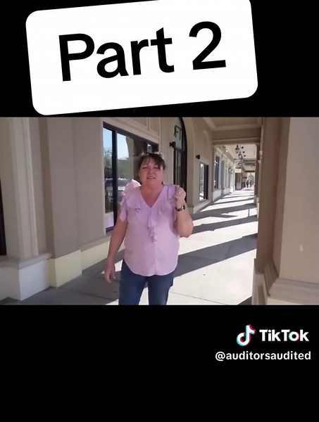 #frauditor #auditor #policeaudit