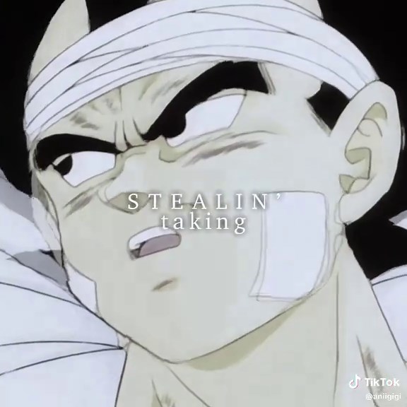 Vegebul Edit Featuring Vegeta and Bulma Art