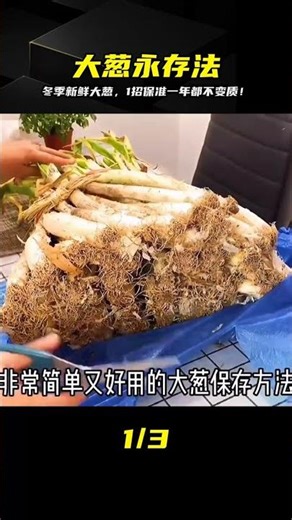 Craving fresh scallions? Use this trick in winter! They can be preserved all year round, it's ama...