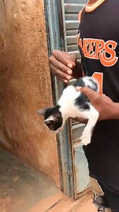 139K views · 2.5K reactions | A COULIBALY ké à kairaaa baraa yé | Kouloutinbougou | Facebook