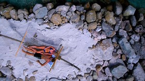 13K views · 442 reactions | Raise your hand if you’d rather be at the Renaissance Aruba Resort & Casino ✋! Guests can take a water taxi to this private island to enjoy stunning beaches, get pampered at Spa Cove and watch wildlife roam.  Take advantage of their “Book now, Bliss Later” flexible travel vouchers, available at https://bit.ly/3ermgxK. #OpenForHappiness | Aruba | Facebook