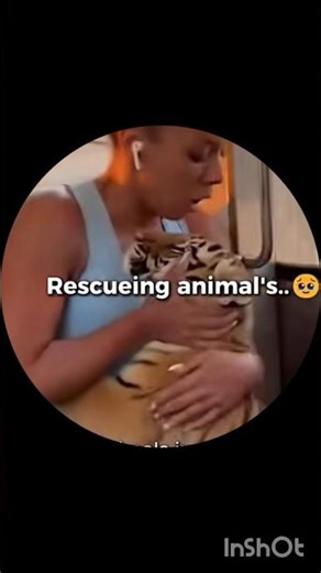 Unbelievable Animal Rescue Caught on Camera! 😱❤️ #amazing#shorts #animals#viral