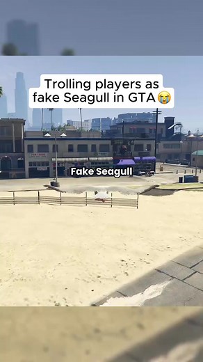 8.6K views · 200 reactions | "...and then the Seagull pooped on me" #gtaonline #gta5 #gta5online #gtaviral #fail | Beepteebopsyoutube | Facebook