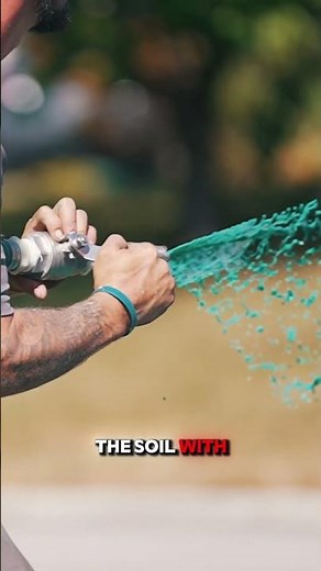 Fastest Way To Plant Grass #dndx1