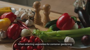 Best Vegetables For Container Gardening