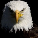 Boys Varsity Football • Home