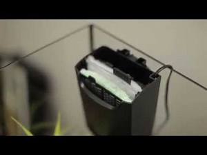 How to install an Interpet CF Filter