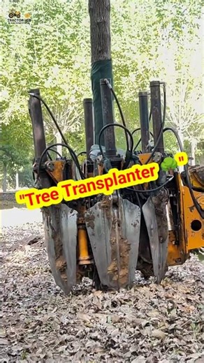 "Tree Transplanter Machine 🌳🚜#TreeTransplanter #ModernFarming #HeavyMachinery