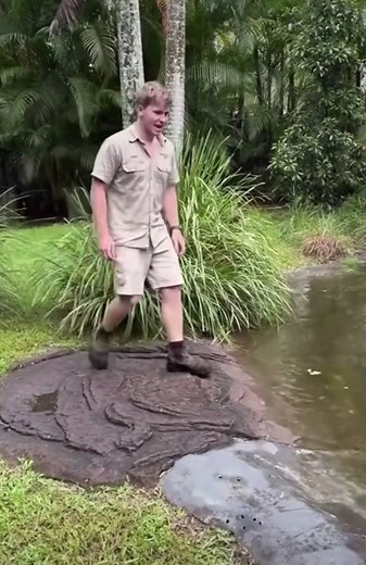 I feel so old now 🤣🤣🤣🤣 #crocdilehunter #steve #irwin #son #fypシ